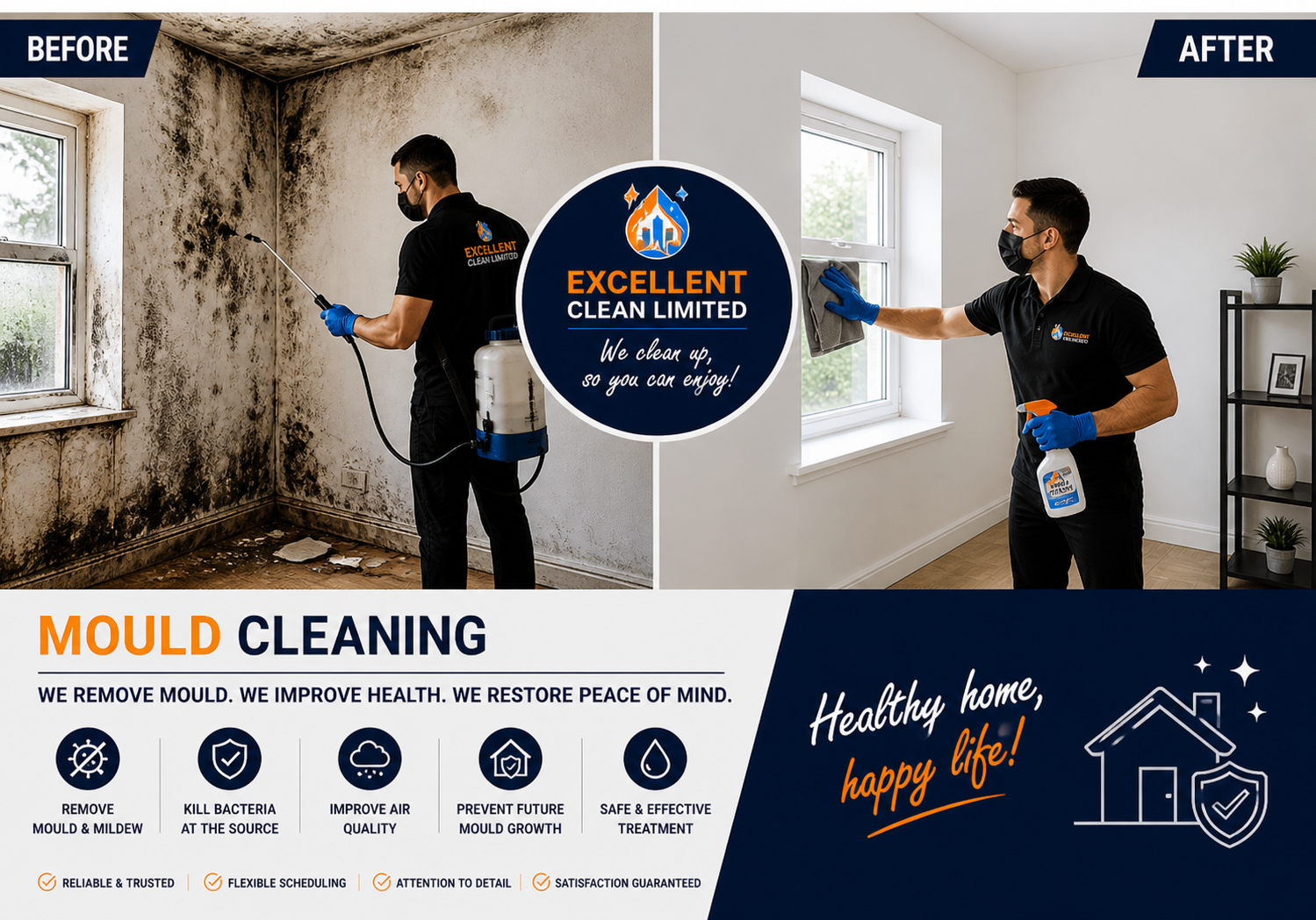 Mould Cleaning